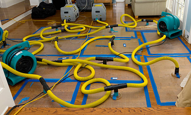 Professional Flood Damage Restoration technician working in Savannah, GA